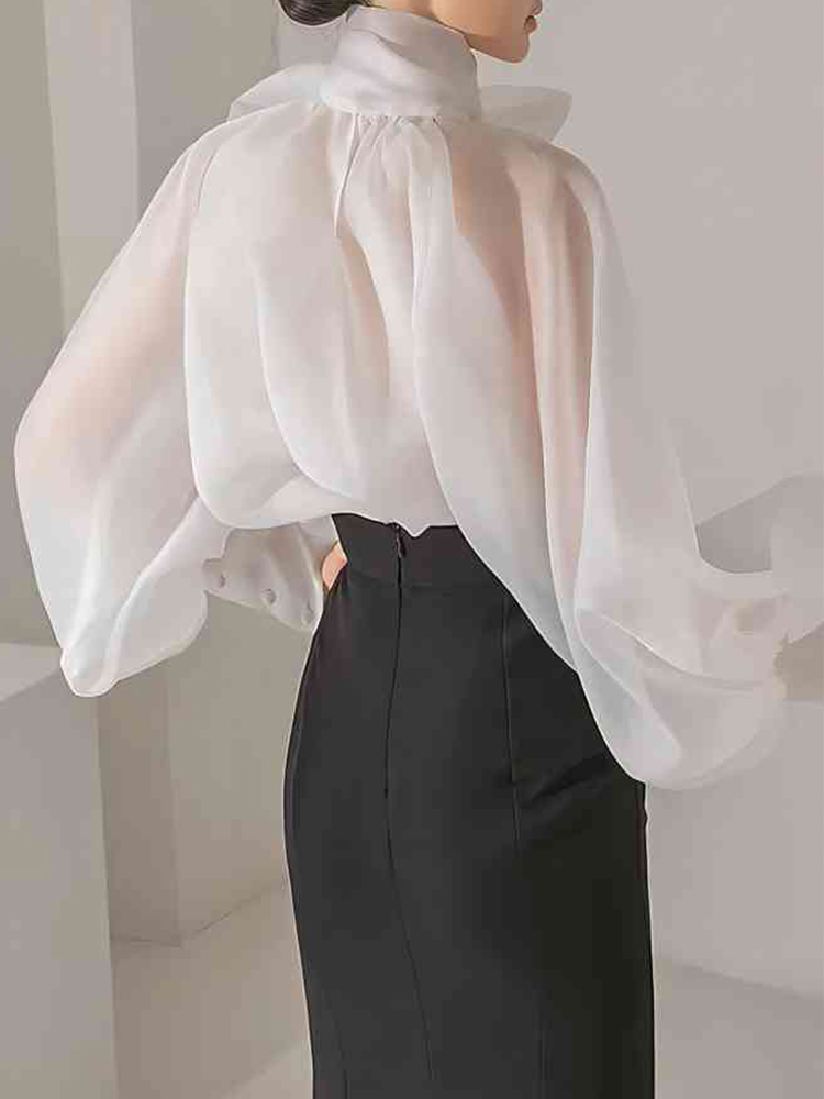 Women's Elegant Lantern Sleeve – обзор и цена Street Fashion Necklace